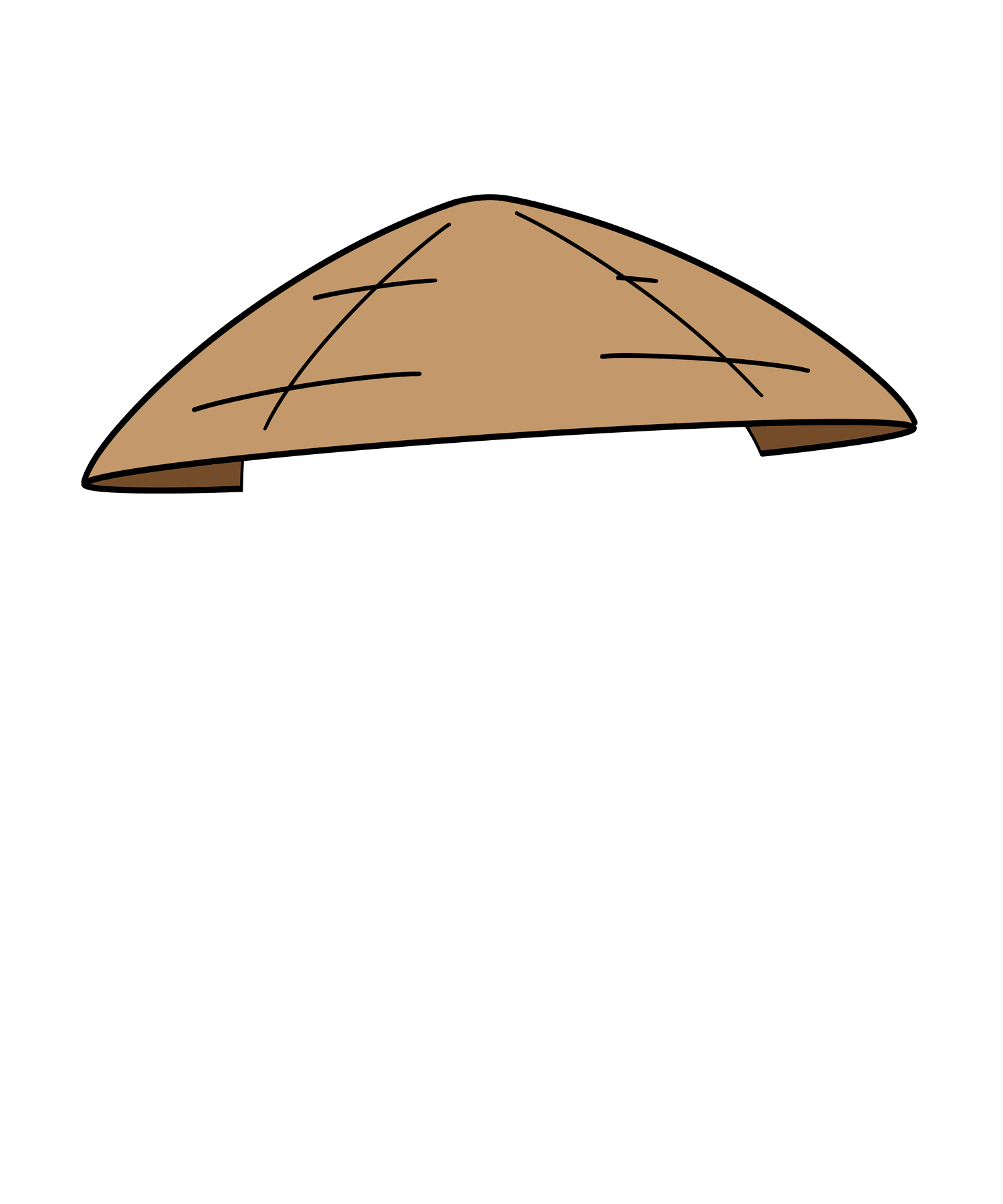 Rice Hat